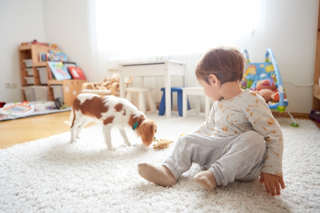 子供と犬